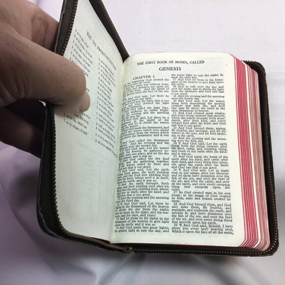 Holy Bible Illustrated KJV Self-Pronouncing Edition Zippered World Pub Vintage - Picture 11 of 15